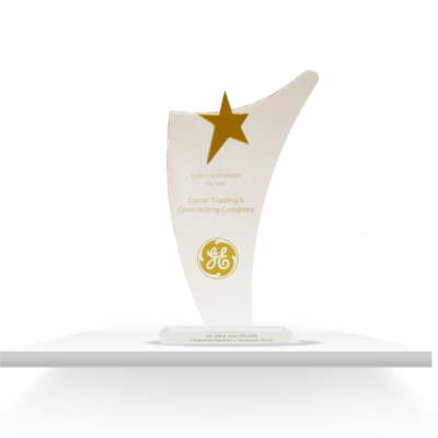Award V2-13